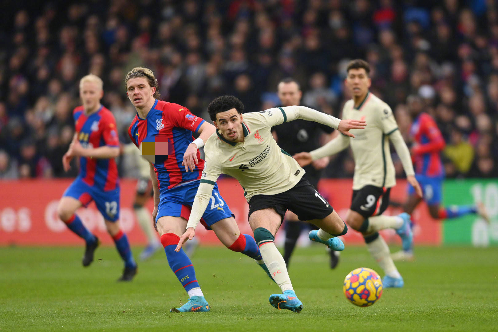 性给俱乐部 性给俱乐部